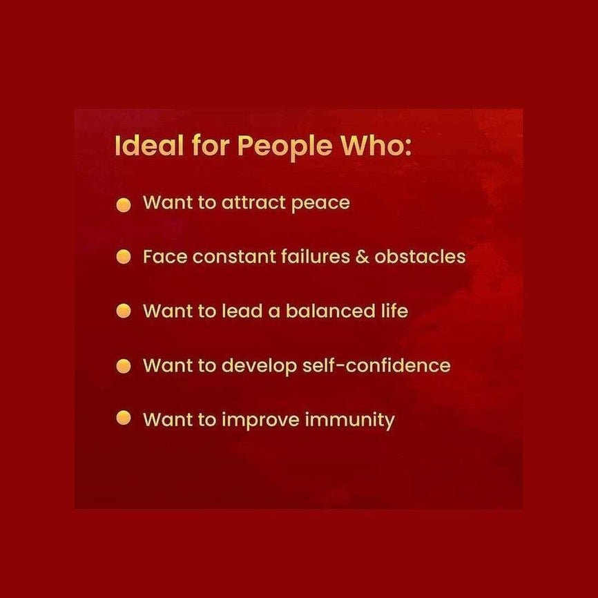 Exquisite Unisex Firazo Bracelet – Sparkling Elegance with Gold-Plated Finish