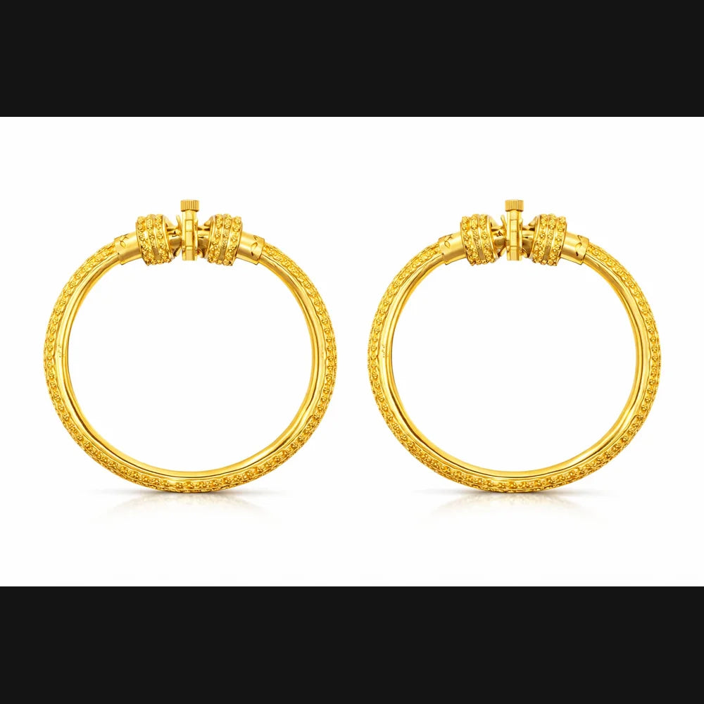 ZHome premium imitation jewellery and one gram gold jewellery collection featuring necklaces, earrings, studs, nose pins, nose rings, rings, bracelets, pendants and men’s jewellery for elegant daily wear and festive occasions
