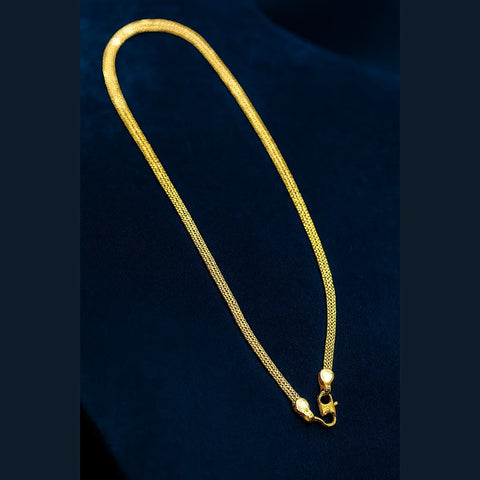 Gold-Plated Chain for Men & Women – Daily Wear 20 inch (Copy)